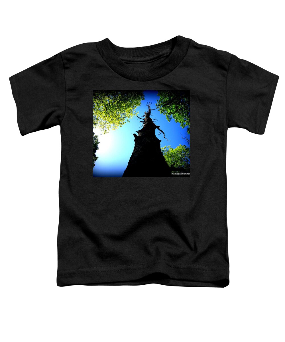 Trees Toddler T-Shirt featuring the photograph Old Trees by Rabiah Seminole