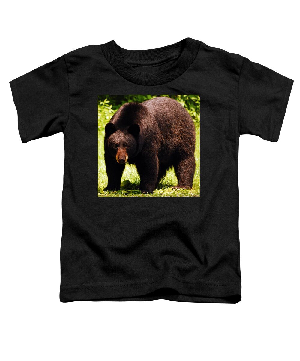 Bear Toddler T-Shirt featuring the photograph One Big Bad Momma by Lori Tambakis