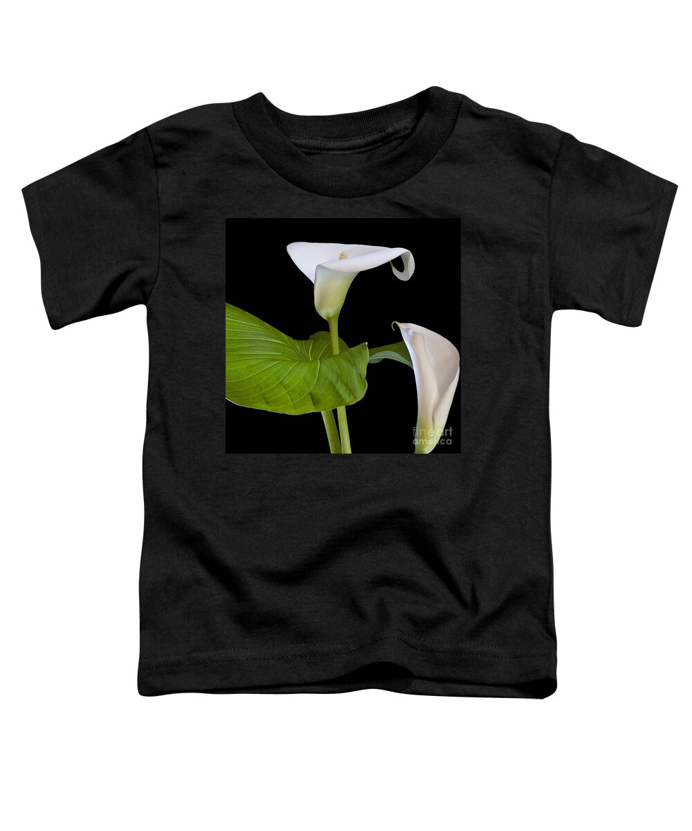 White Calla Toddler T-Shirt featuring the photograph Open white calla lily I by Heiko Koehrer-Wagner