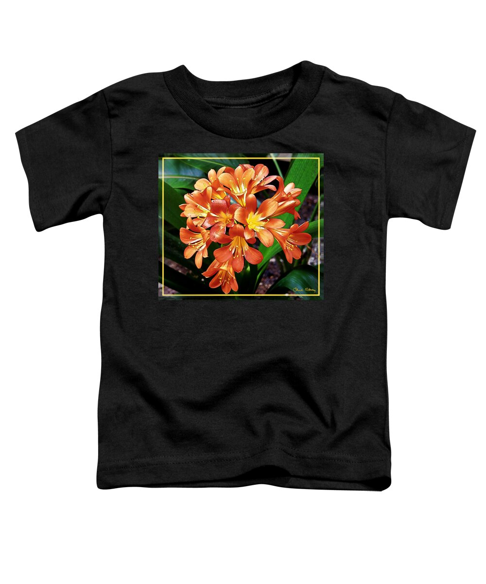 Orange Flowers Toddler T-Shirt featuring the photograph Orange Flowers by Chuck Staley