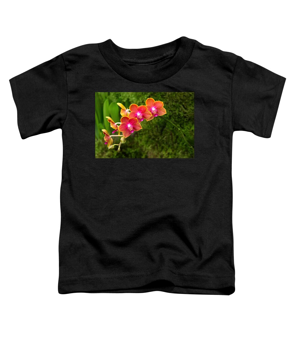 Phalaenopsis Toddler T-Shirt featuring the photograph Orchid - Phalaenopsis - Tying Shin Cupid by Mike Savad