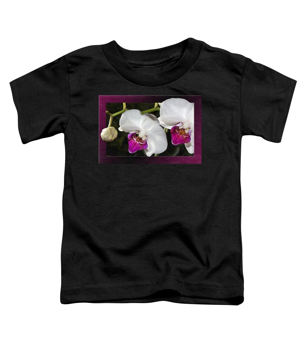 Orchids Toddler T-Shirt featuring the photograph Orchids In A Fuchsia Frame by Phyllis Denton
