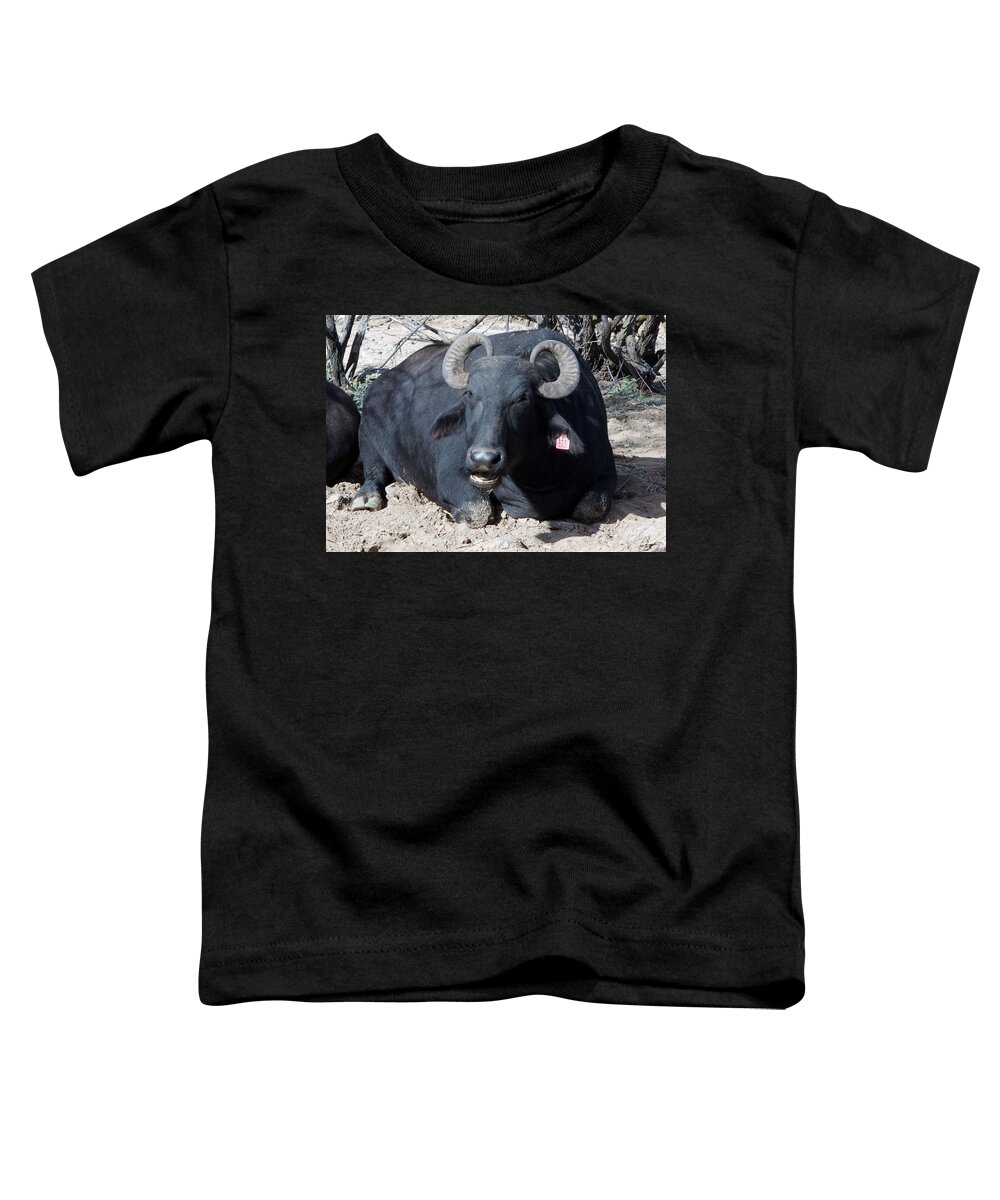 Out Of Africa Toddler T-Shirt featuring the photograph Out of Africa Water BuFFALO by Phyllis Spoor