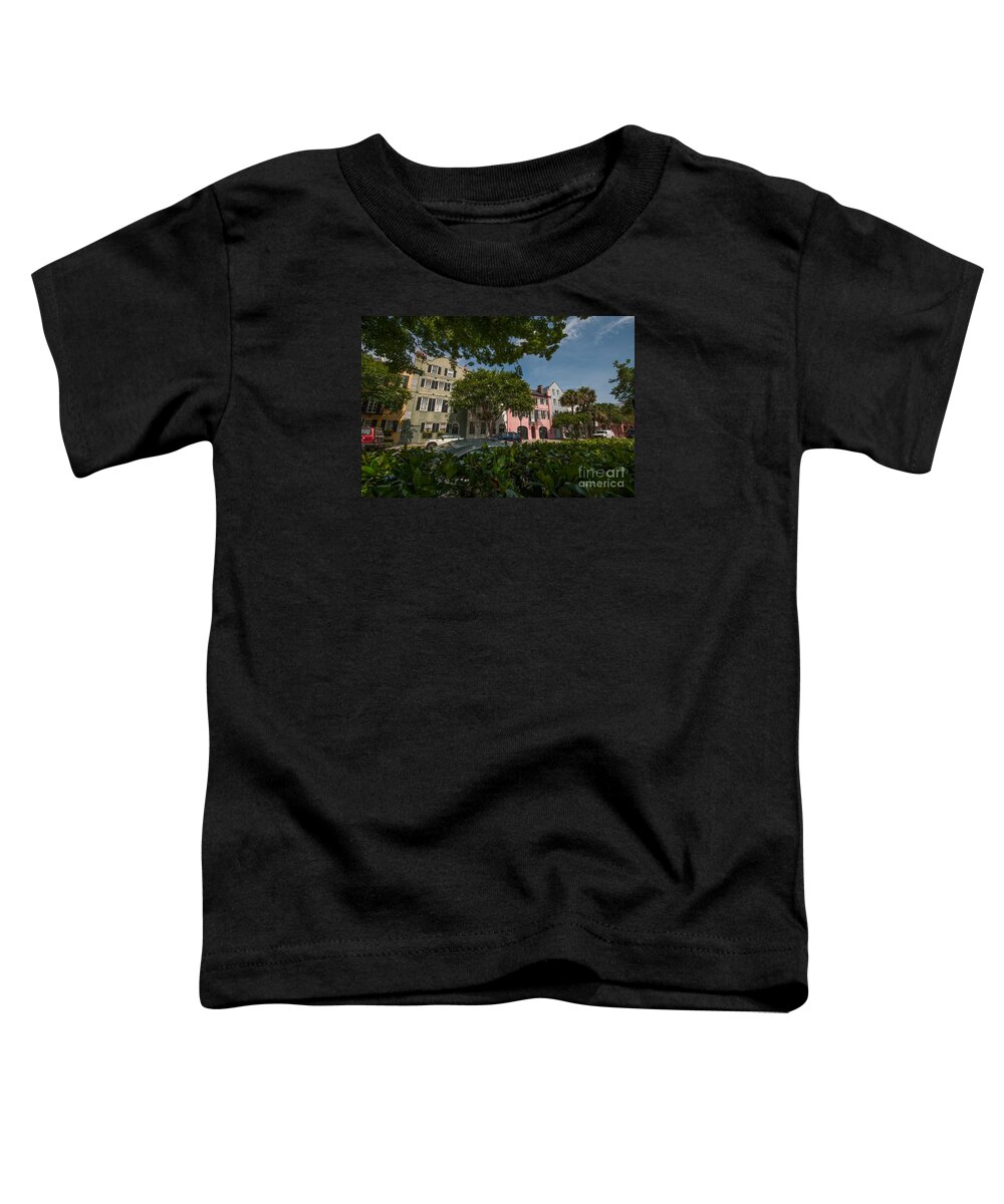 Rainbow Row Toddler T-Shirt featuring the photograph Over the Shrubs by Dale Powell