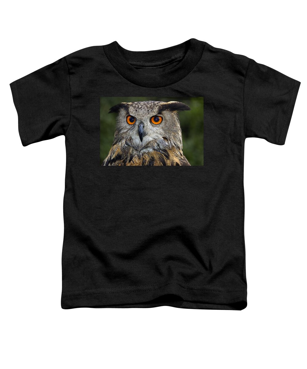 Owl Toddler T-Shirt featuring the photograph Owl Bubo bubo portrait by Matthias Hauser