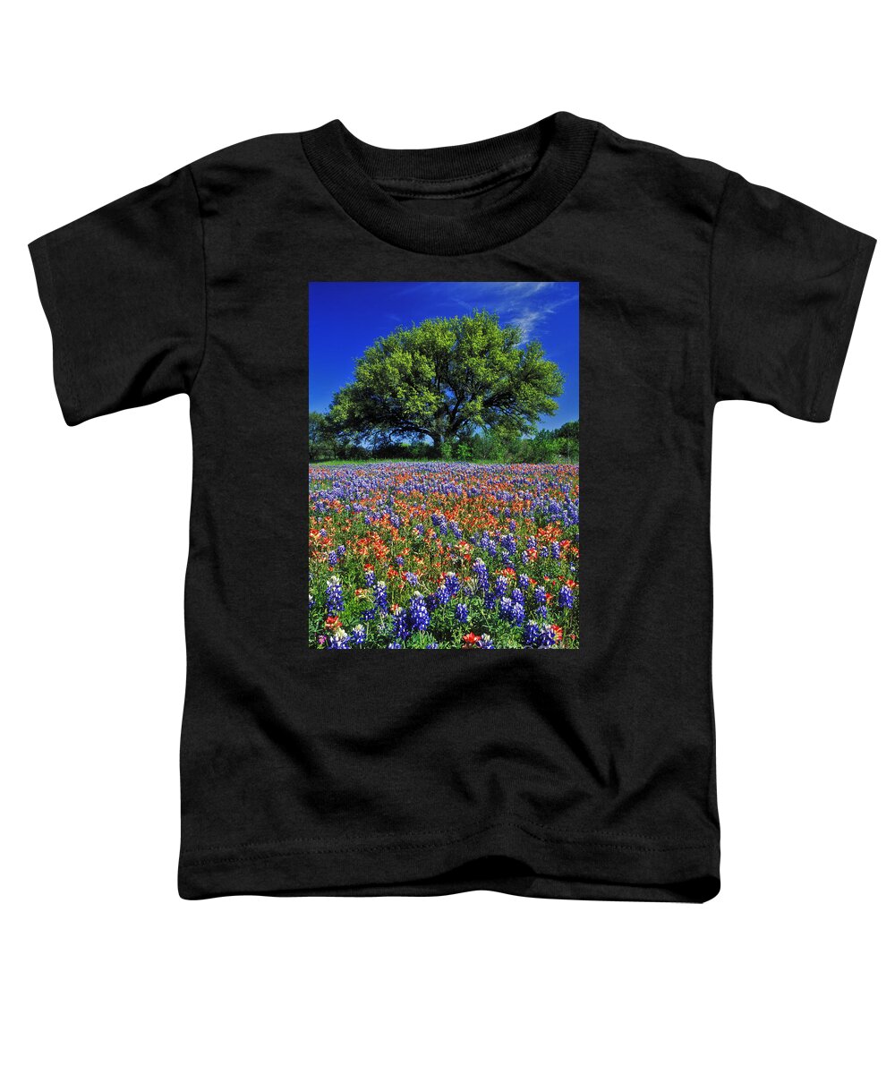 Texas Toddler T-Shirt featuring the photograph Paintbrush and Bluebonnets - FS000057 by Daniel Dempster