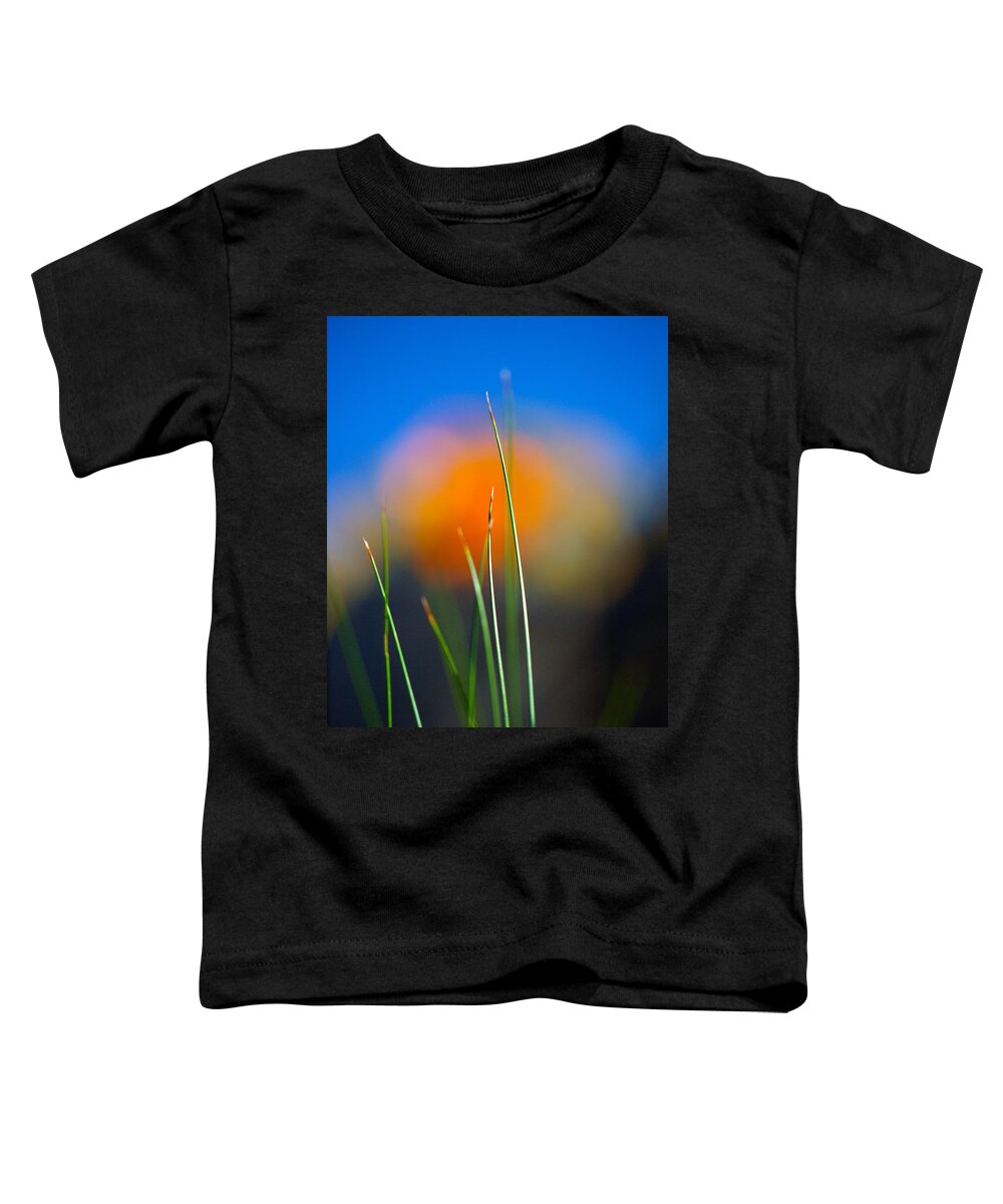 Flora Toddler T-Shirt featuring the photograph Papyrus by Joe Schofield