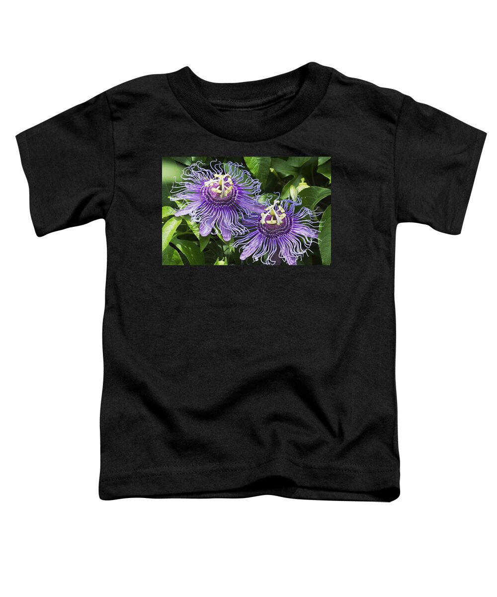 Nature Toddler T-Shirt featuring the photograph Passion Flowers by Kenneth Albin