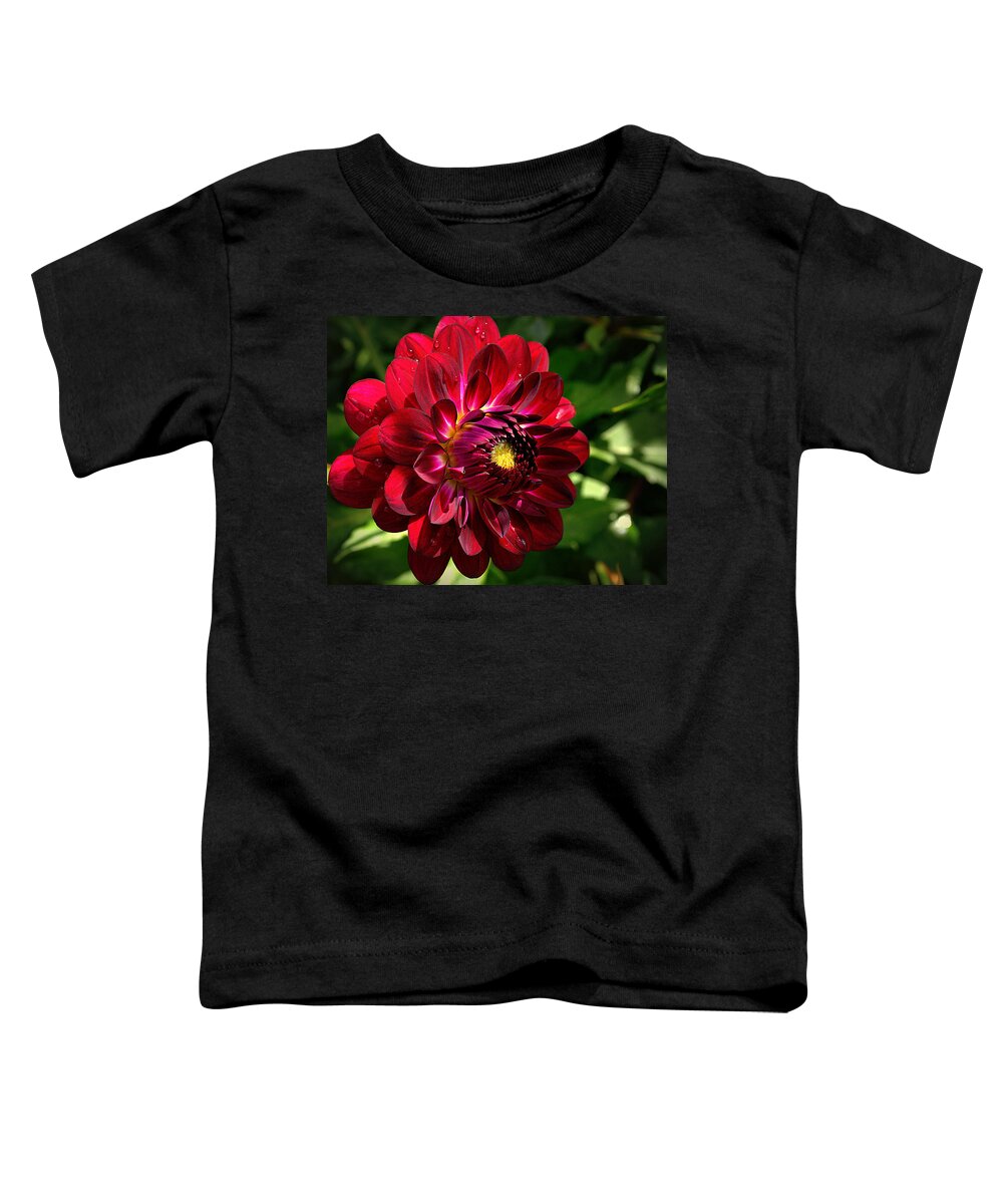 Red Toddler T-Shirt featuring the photograph Passionate Dahlia by Tikvah's Hope