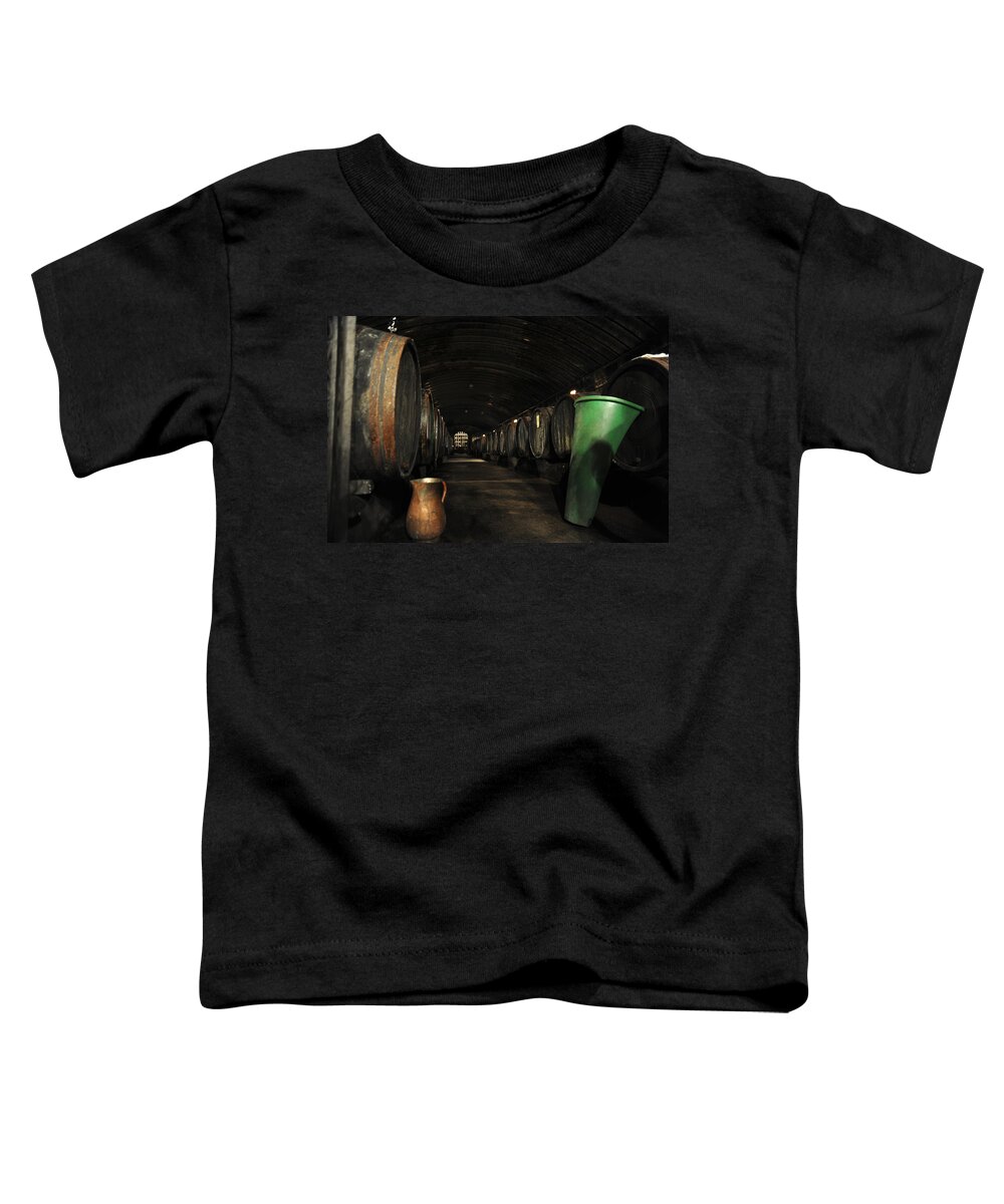 Germany Toddler T-Shirt featuring the photograph Patience Rewarded by Richard Gehlbach