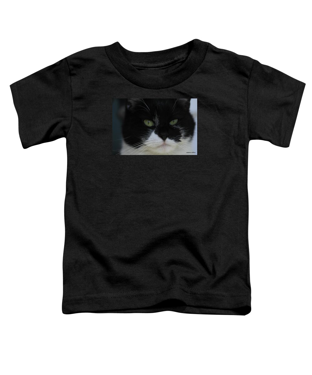 Tuxedo Toddler T-Shirt featuring the photograph Green Eyes of a Tuxedo Cat by Valerie Collins