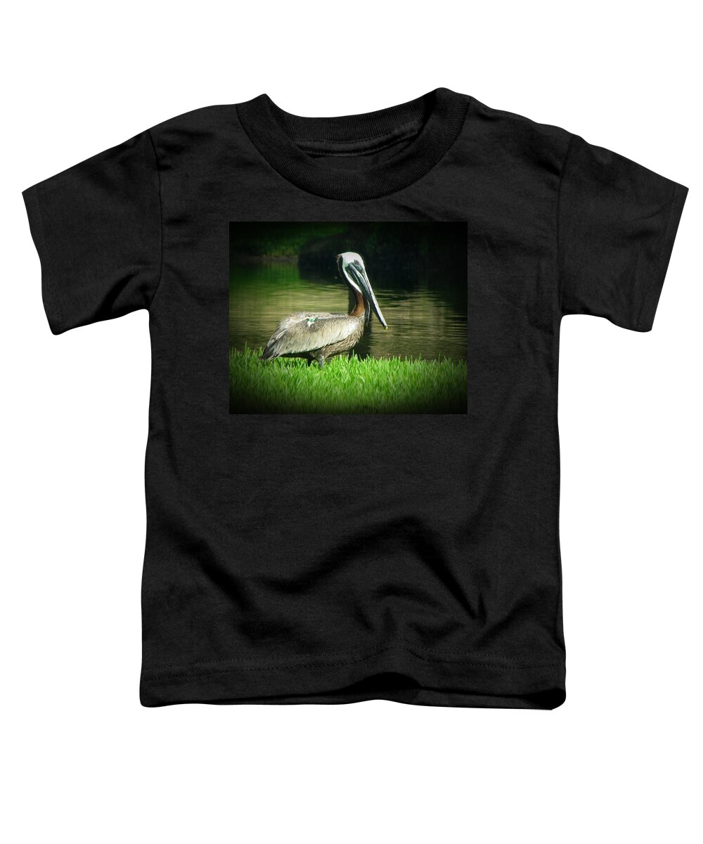 Pelican Toddler T-Shirt featuring the photograph Pelicans are Free by MTBobbins Photography