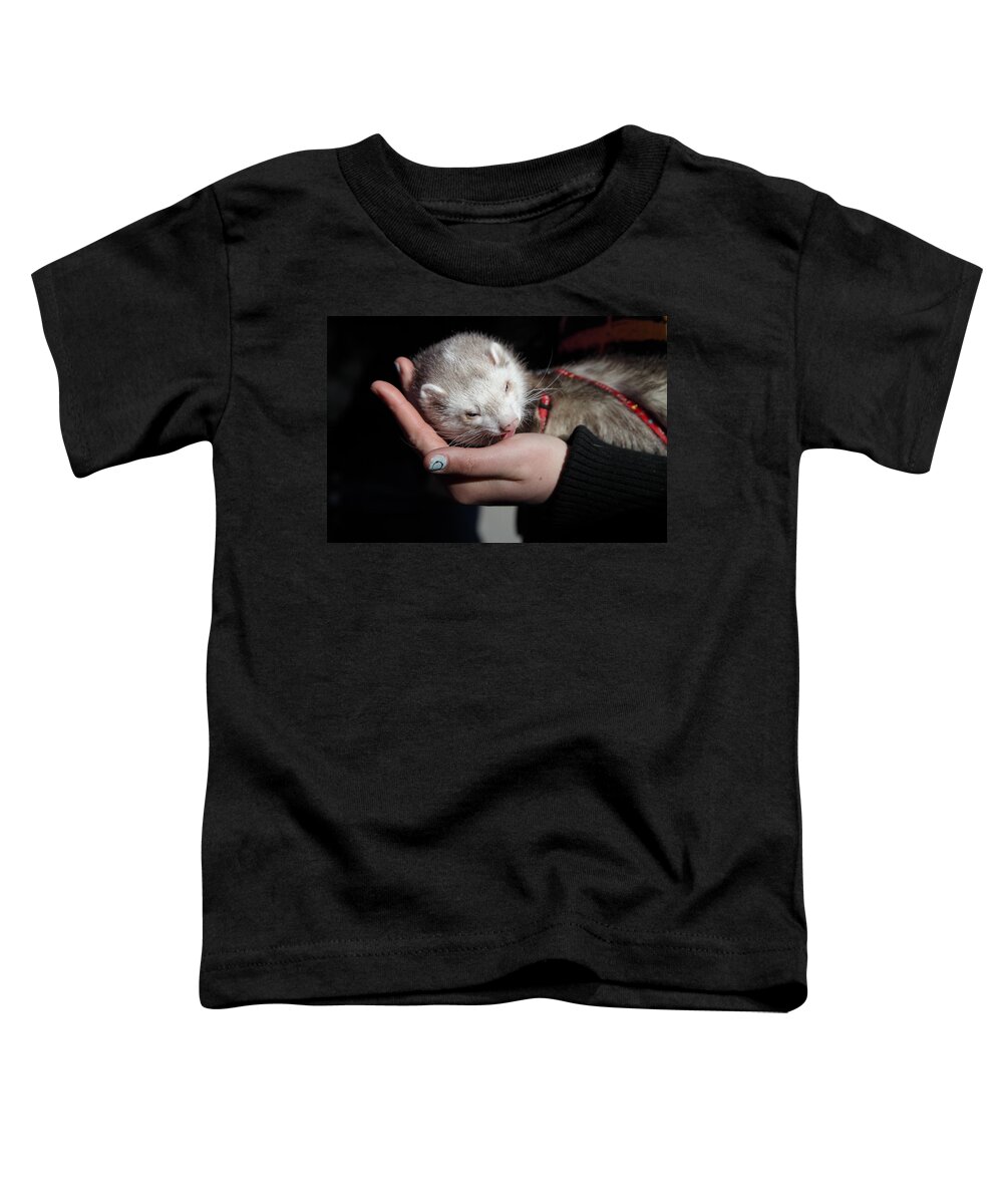 20s-30s Toddler T-Shirt featuring the photograph Pet ferret licking a hand by Ulrich Kunst And Bettina Scheidulin
