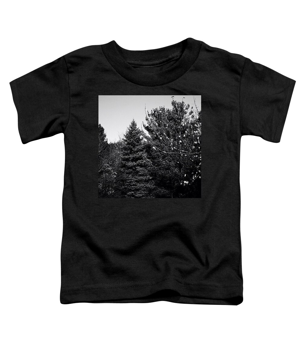 Trees Toddler T-Shirt featuring the photograph Pine And Leaves - Monochrome by Frank J Casella