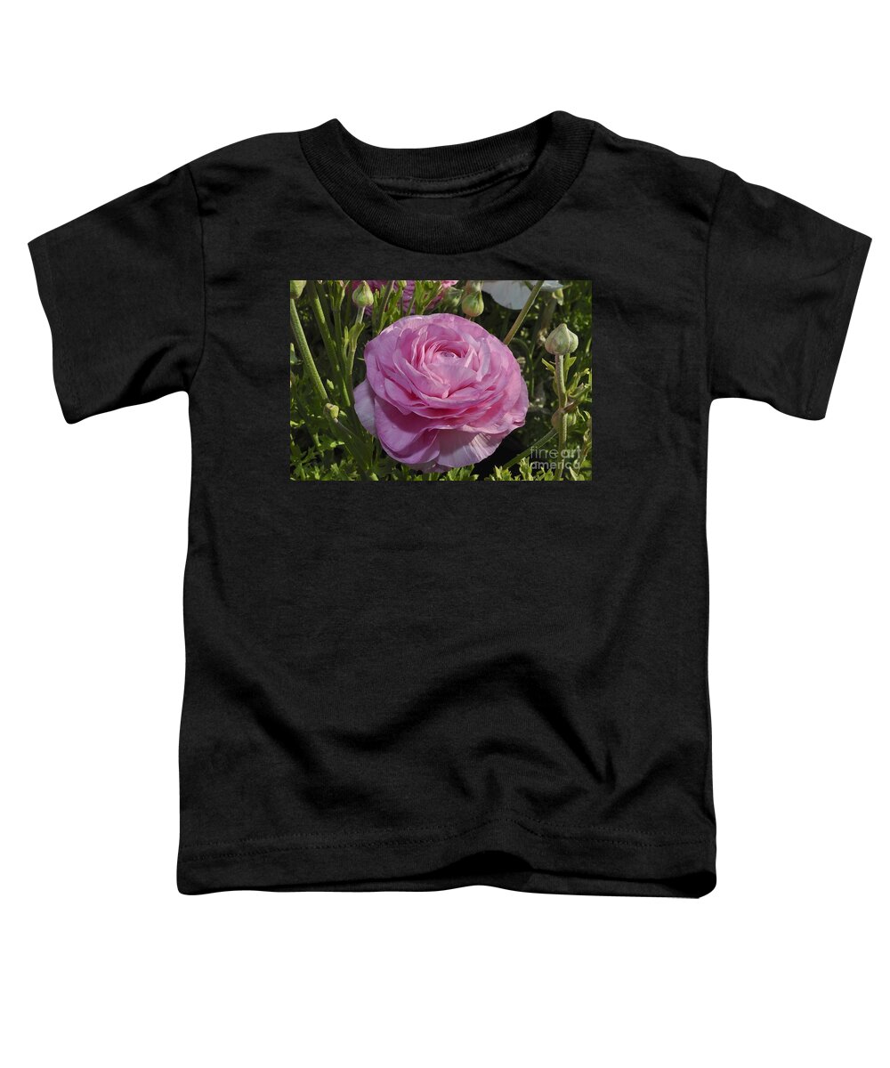 Pink Toddler T-Shirt featuring the photograph Pink Ranunculus by Bridgette Gomes