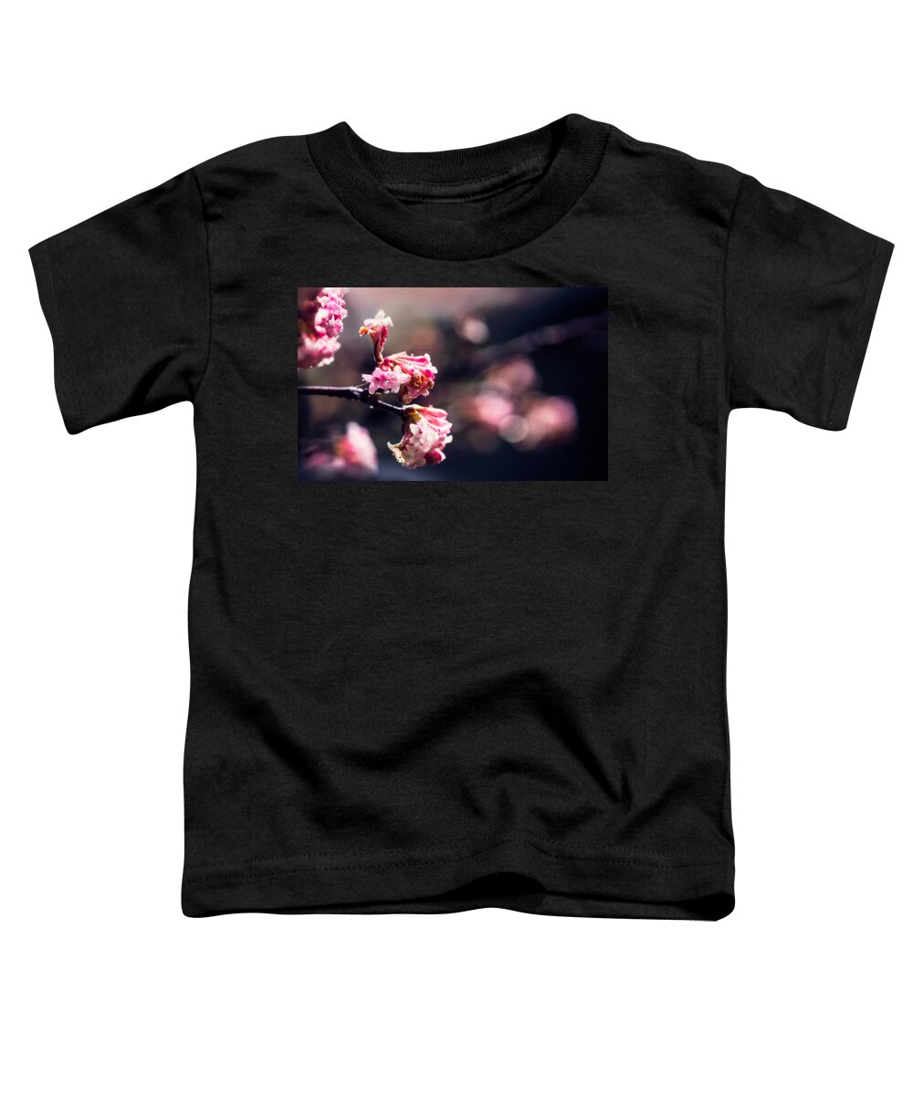 Viburnum Farreri Toddler T-Shirt featuring the photograph Pink winter blossoms of Viburnum with rain drops by Peter V Quenter
