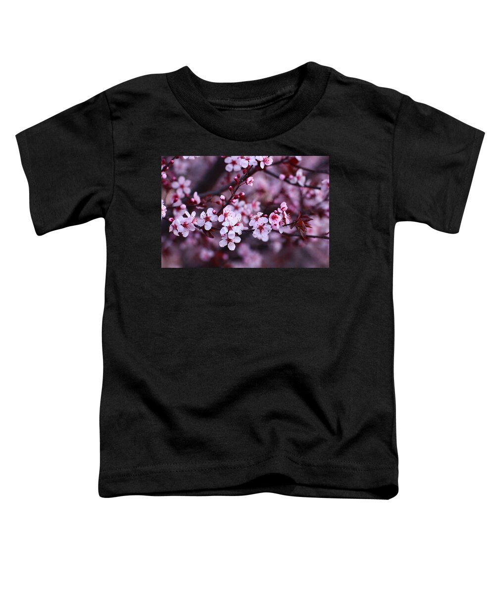 Plum Toddler T-Shirt featuring the photograph Plum blossoms by Lynn Hopwood