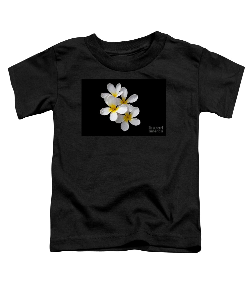 Plumeria Toddler T-Shirt featuring the photograph Plumerias isolated on black background by David Millenheft