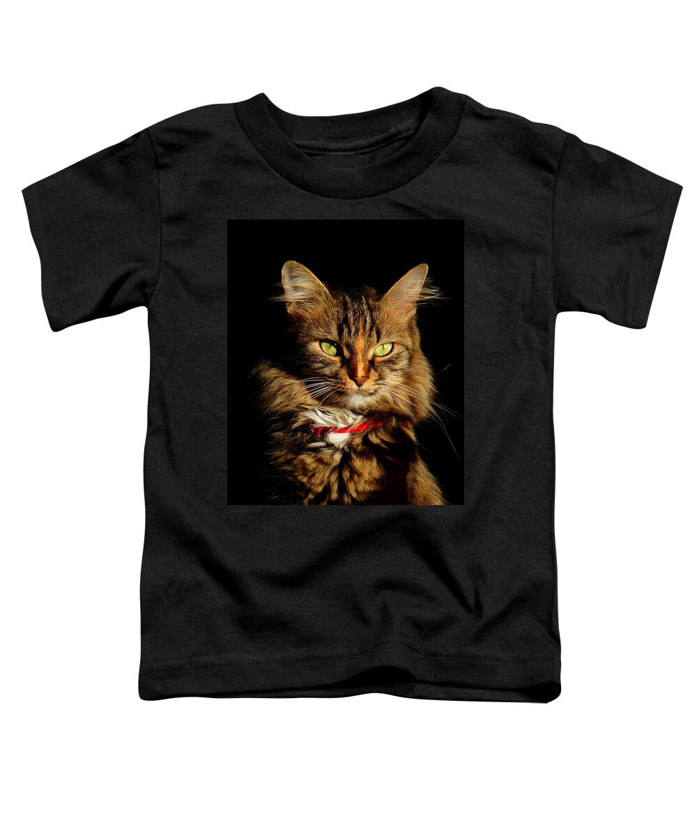 Cat Toddler T-Shirt featuring the photograph Portrait of a tramp cat- Two part by Binka Kirova