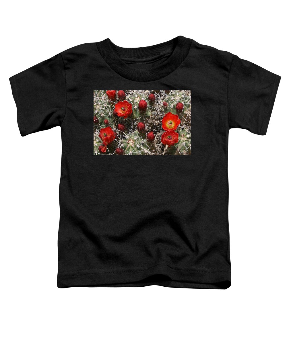 Cacti Toddler T-Shirt featuring the photograph Pretty and Dangerous by Kristin Hatt