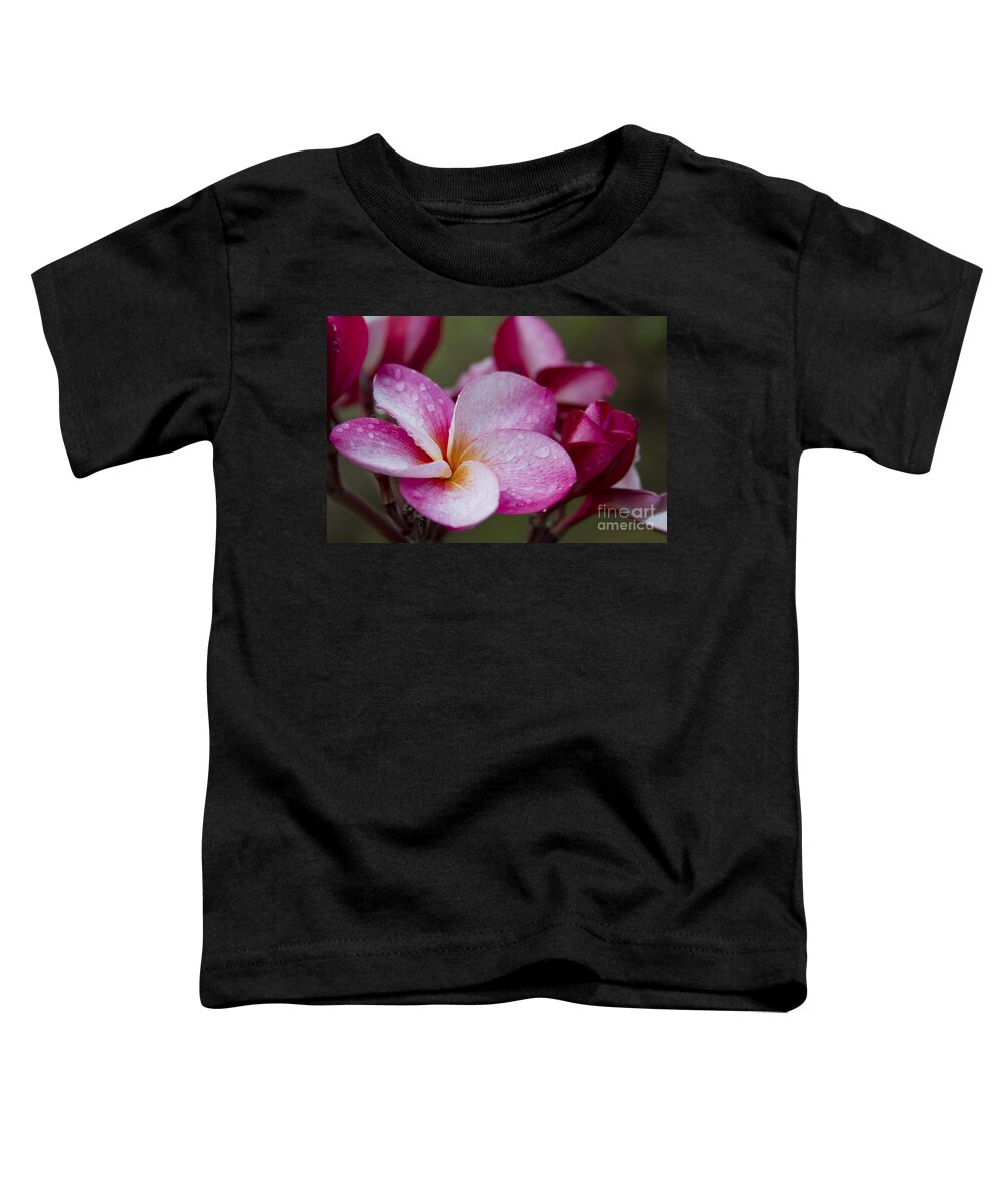 Aloha Toddler T-Shirt featuring the photograph Pua Melia Floral Celebration by Sharon Mau