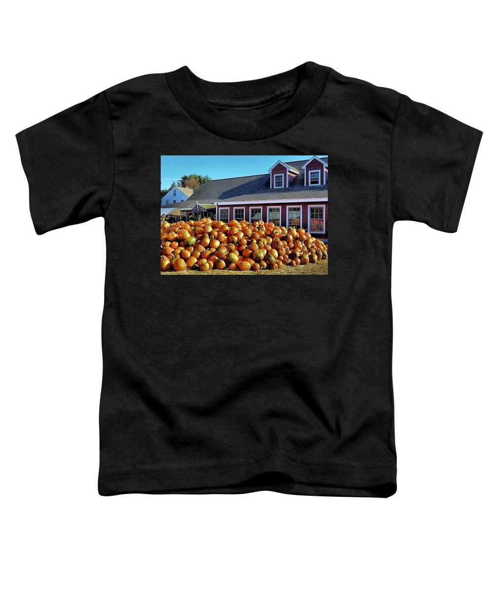 Pumpkin Toddler T-Shirt featuring the photograph Pumpkin Reflections by Janice Drew