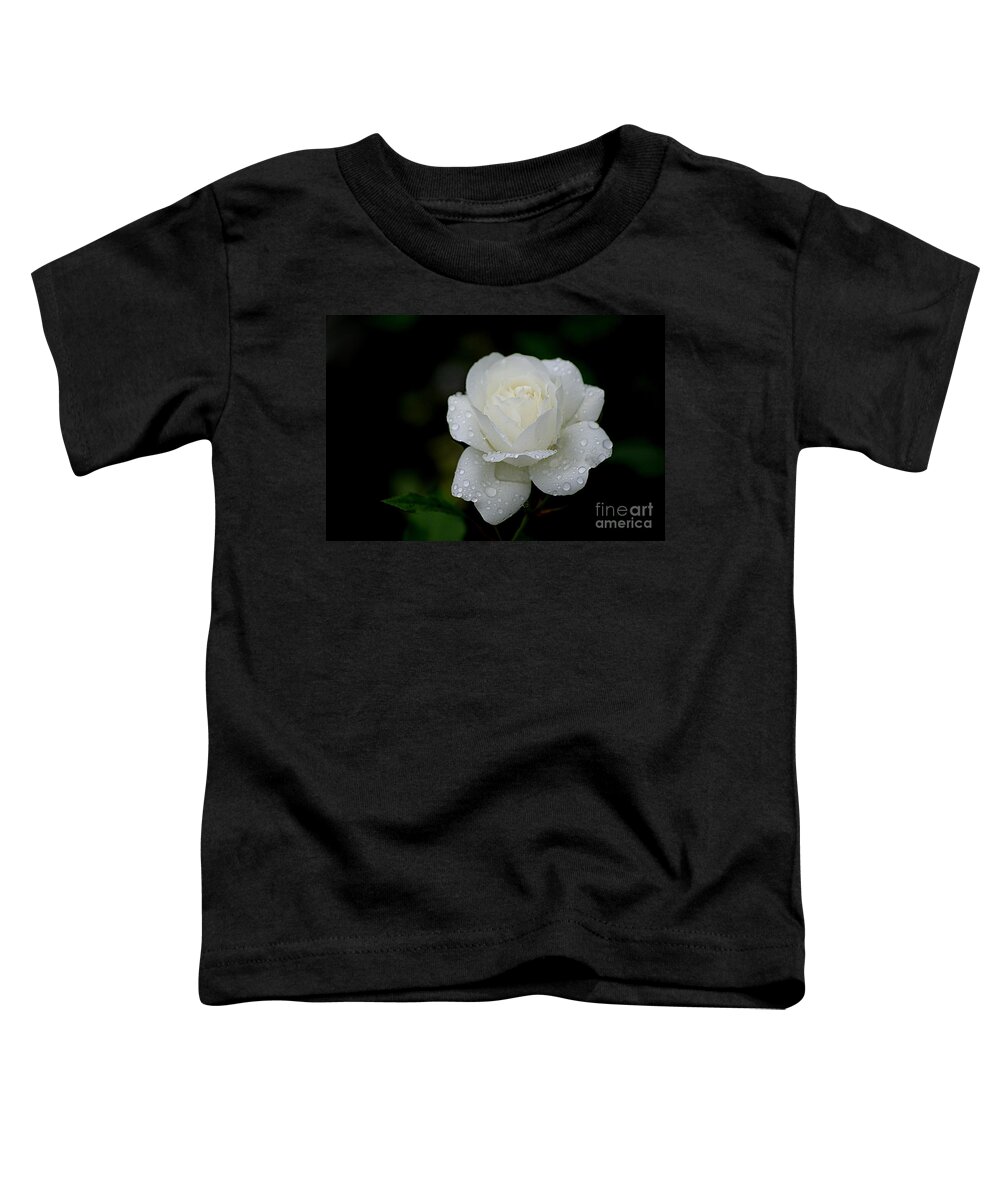 White Rose Toddler T-Shirt featuring the photograph Pure Heaven by Living Color Photography Lorraine Lynch