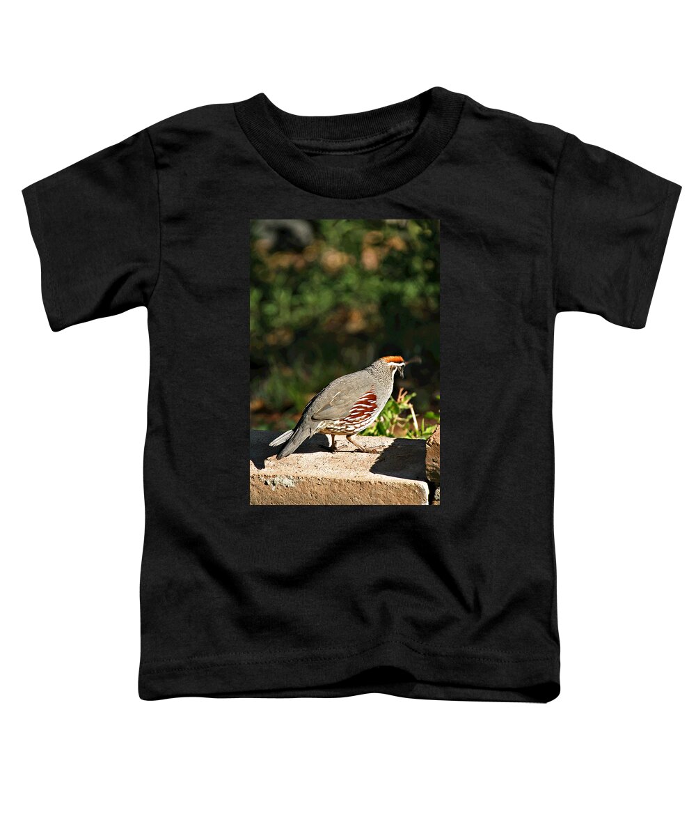 Quail Toddler T-Shirt featuring the photograph Quail by Matalyn Gardner