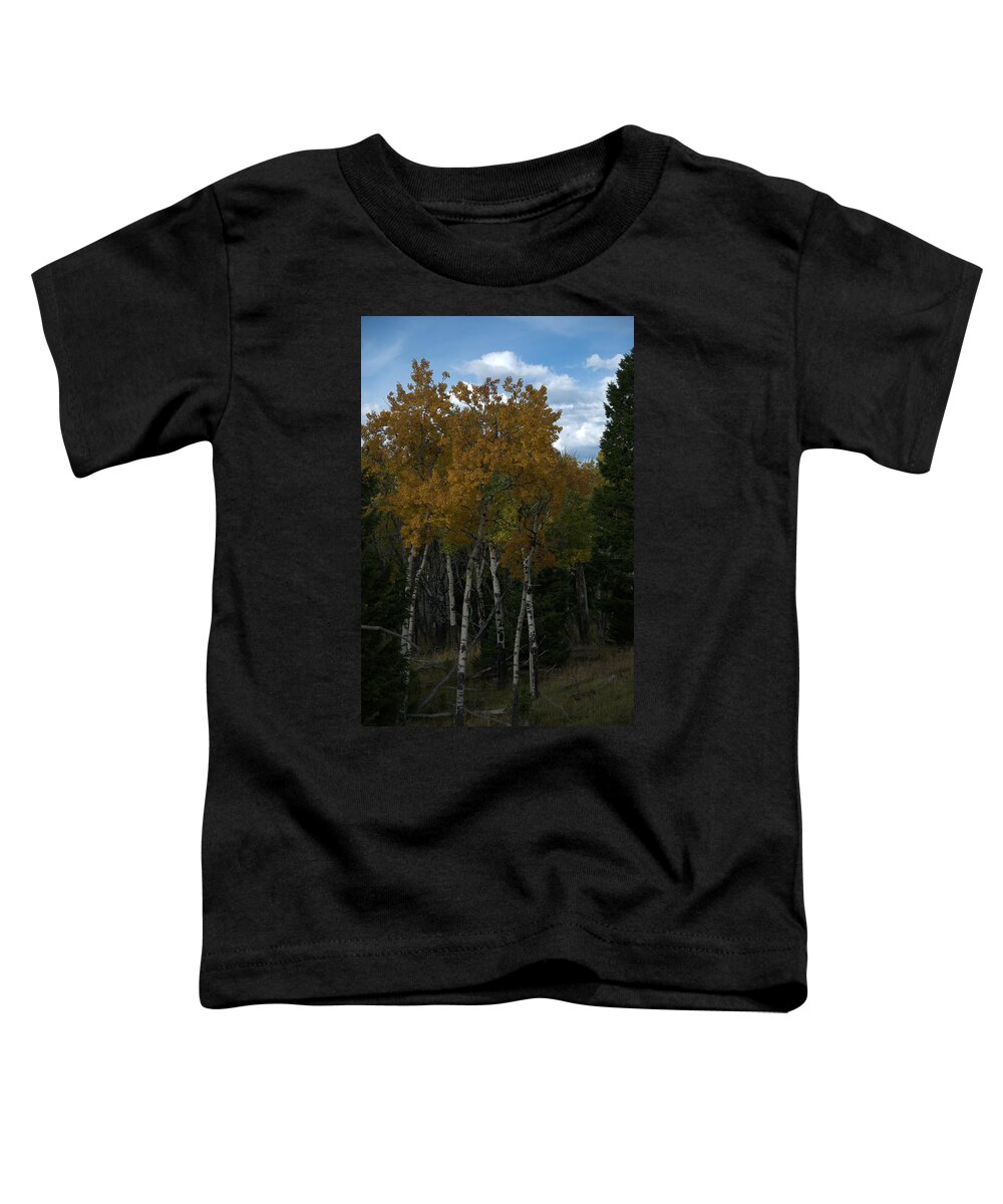 Gold Toddler T-Shirt featuring the photograph Quaking Aspen by Frank Madia