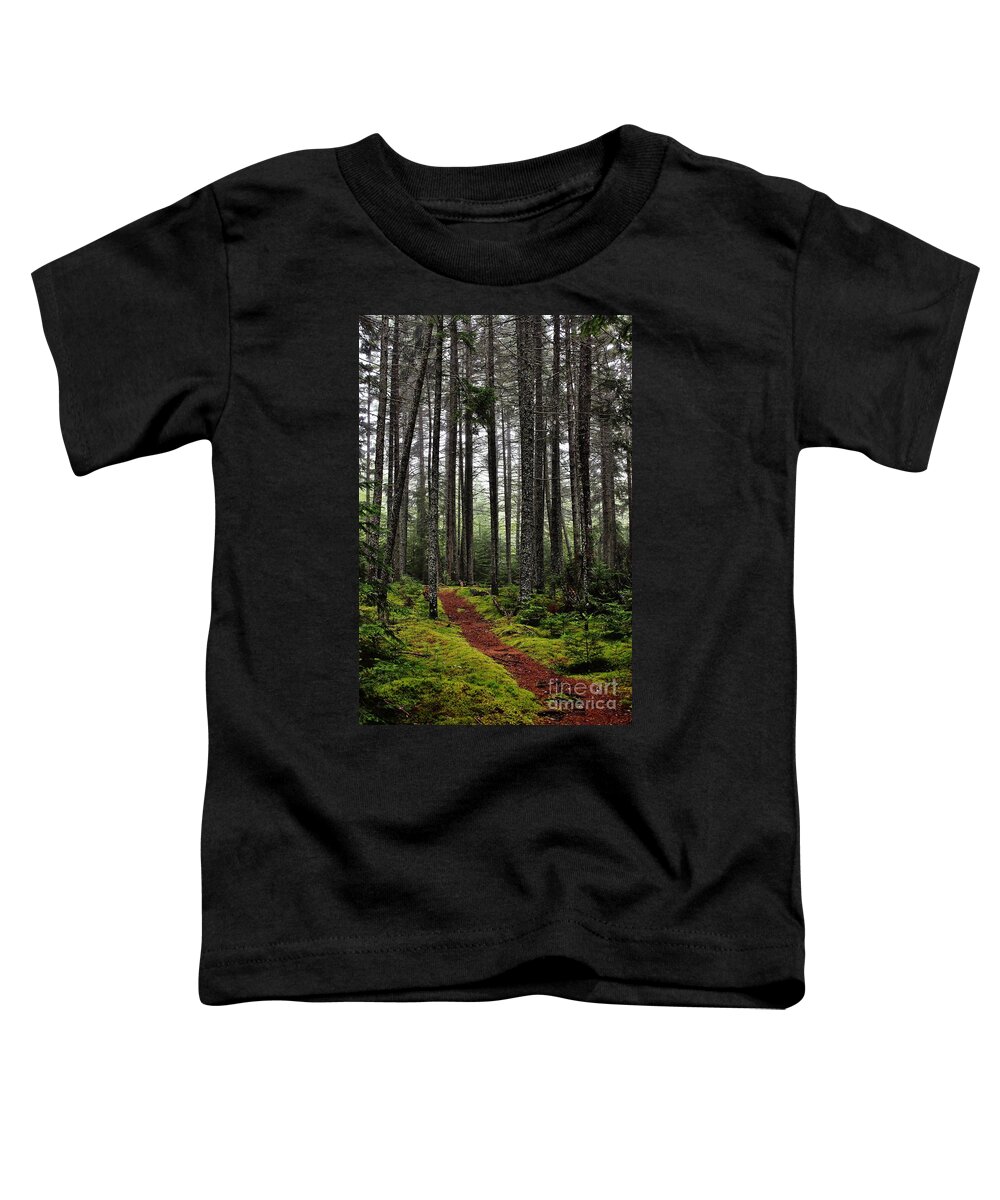 Woods Toddler T-Shirt featuring the photograph Quiet Woods by Karin Pinkham