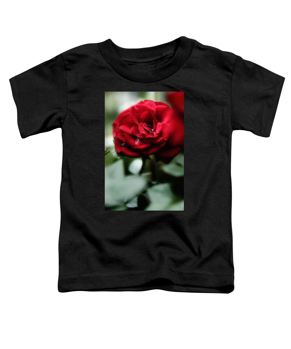 Red Rose Toddler T-Shirt featuring the photograph Quietly My Tears Fall by Michael Eingle