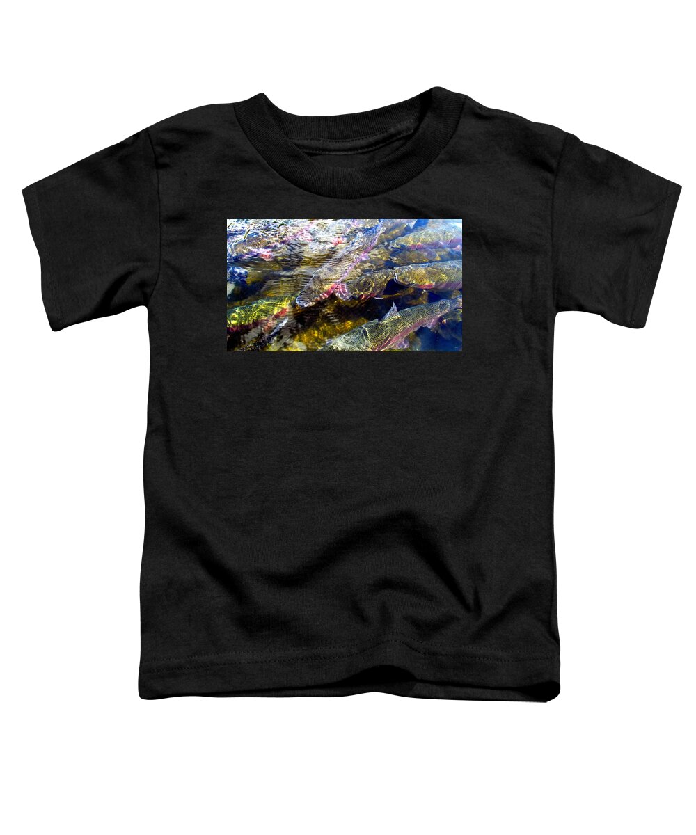 Rainbow Trout Toddler T-Shirt featuring the photograph Rainbow Trout II by Carol Montoya