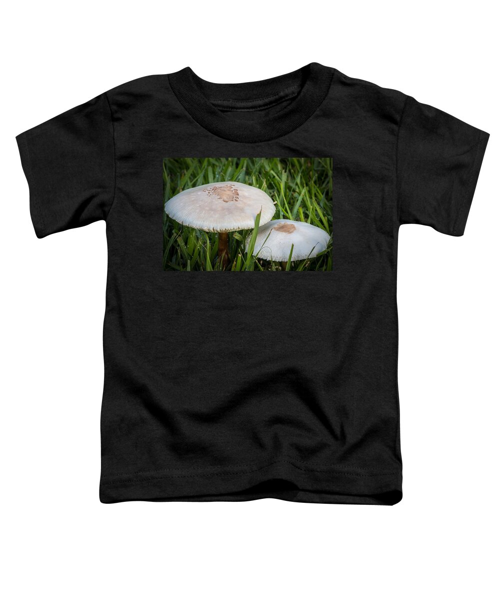 Pioneer Park Toddler T-Shirt featuring the photograph Rain's Child 1 by Richard Goldman