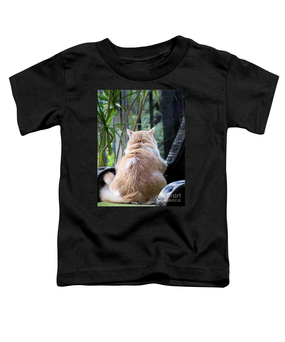 Cats Toddler T-Shirt featuring the photograph Rainy Day Blues by Ellen Cotton