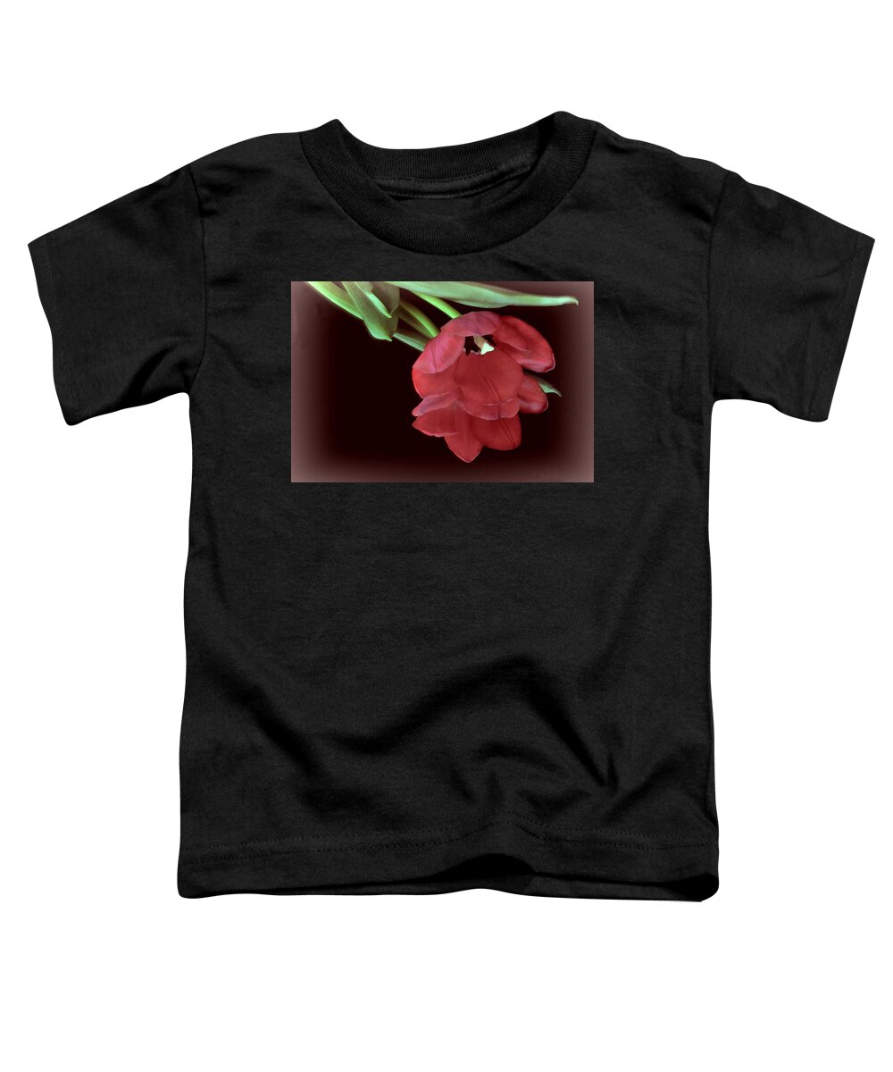 Flower Toddler T-Shirt featuring the photograph Red Tulip on Burgundy by Phyllis Meinke