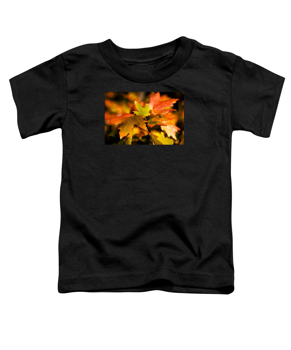Red Toddler T-Shirt featuring the photograph Reds by Chad Dutson