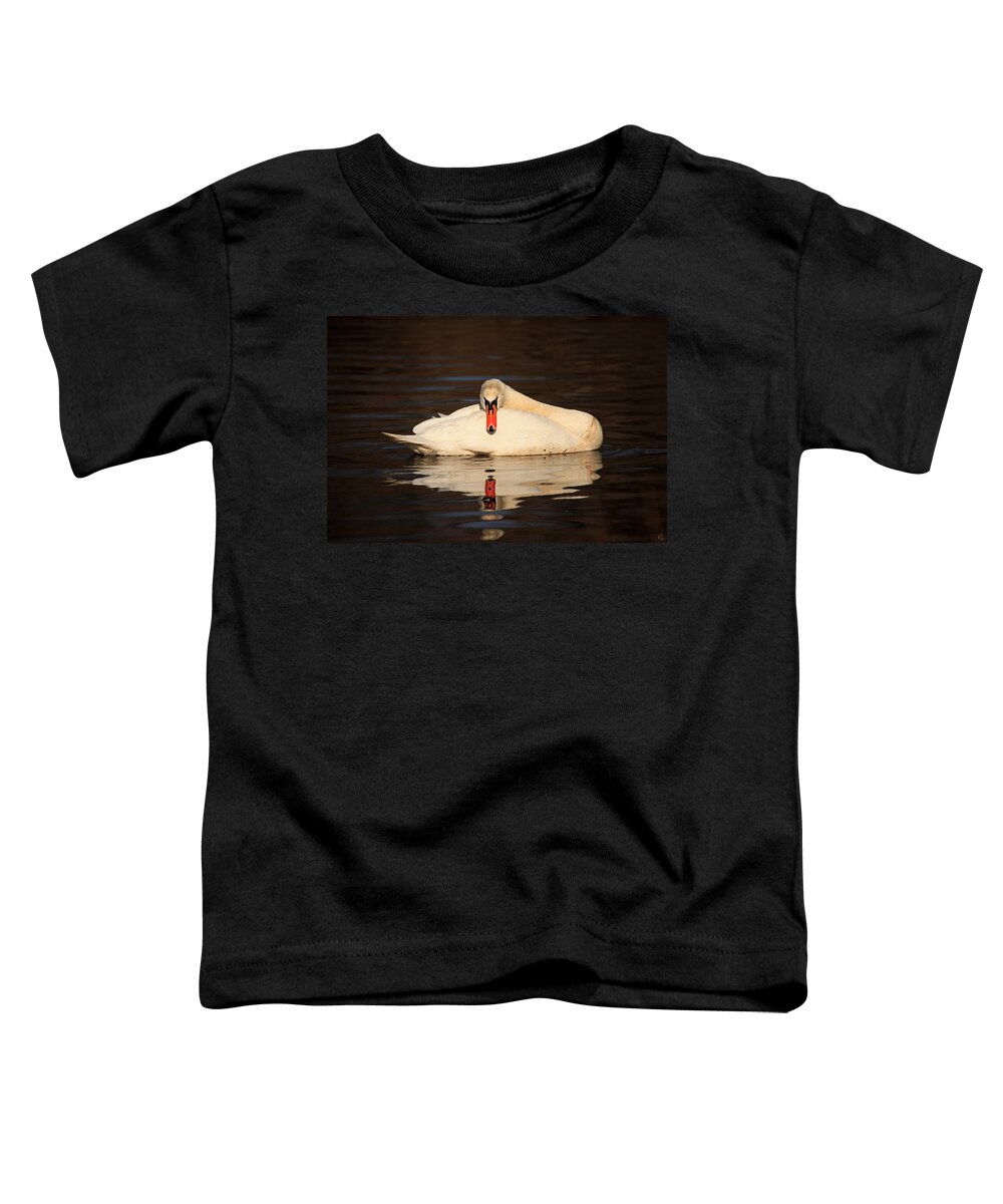 Swan Toddler T-Shirt featuring the photograph Reflections Of A Swan by Karol Livote