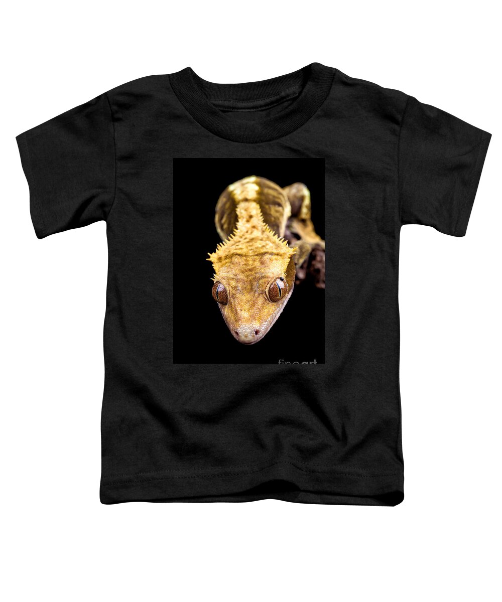 Abstract Toddler T-Shirt featuring the photograph Reptile close up on black by Simon Bratt