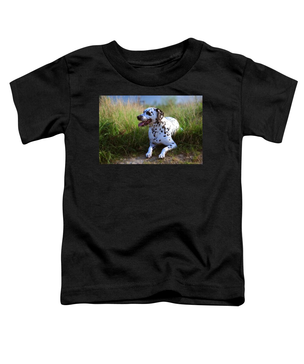 Dalmatian Toddler T-Shirt featuring the photograph Rest in the Grass. Kokkie. Dalmatian Dog by Jenny Rainbow
