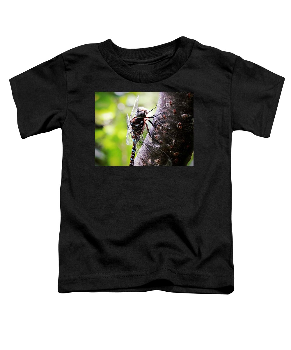 Resting Toddler T-Shirt featuring the photograph Resting in Sunshine by Zinvolle Art