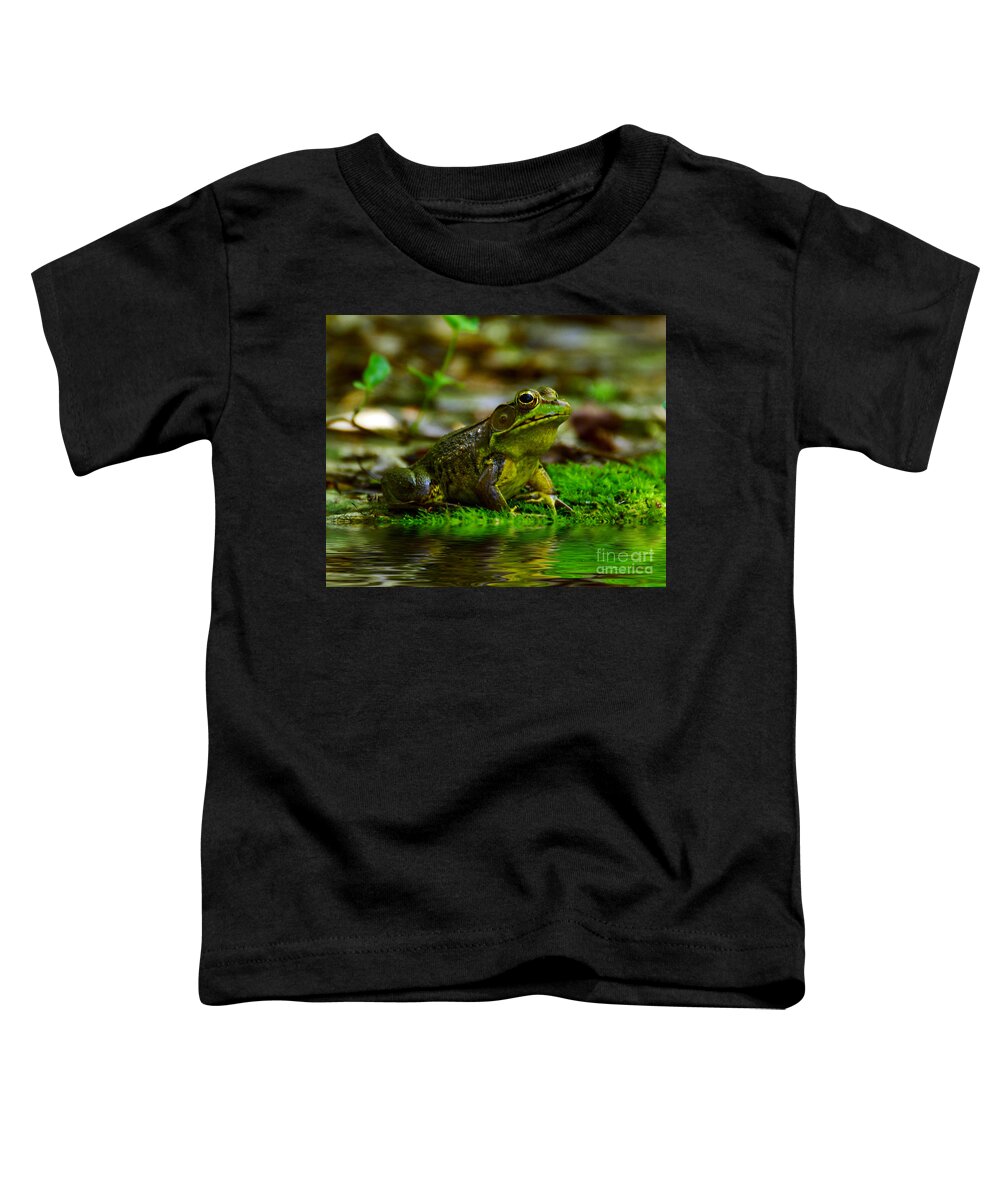 Frog Toddler T-Shirt featuring the photograph Resting In The Shade by Kathy Baccari