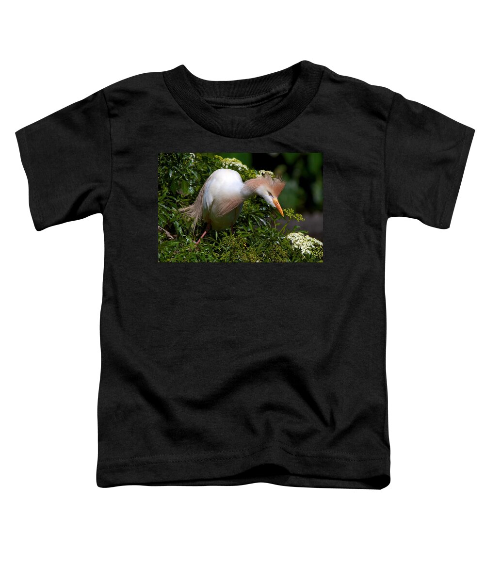 Wildbird Rookery Toddler T-Shirt featuring the photograph Rookery 21 by David Beebe