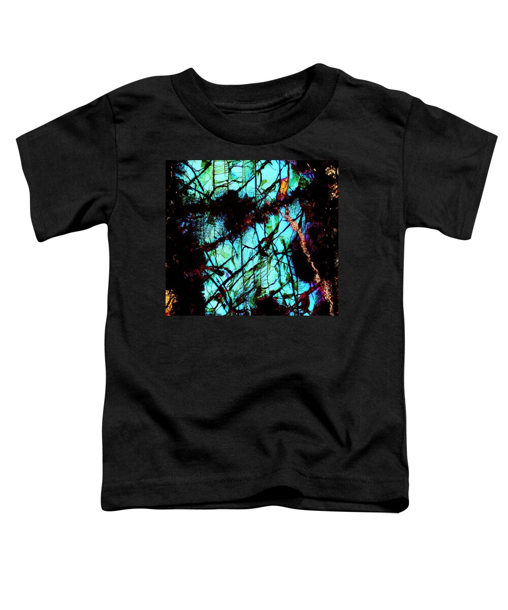 Meteorites Toddler T-Shirt featuring the photograph Room With An Ocean View by Hodges Jeffery