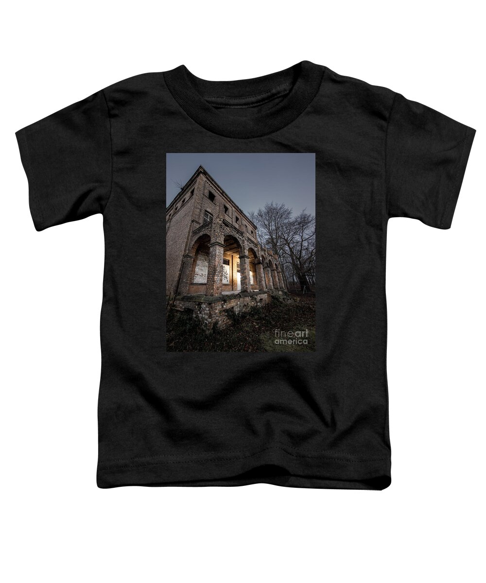 Ruin Toddler T-Shirt featuring the photograph Ruin by Daniel Heine