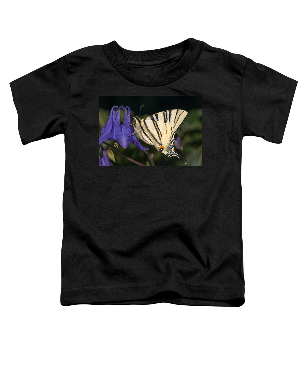 Butterfly Toddler T-Shirt featuring the photograph Sail swallowtail butterfly by Andreas Berthold