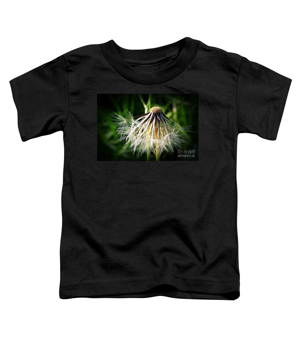 Composite Toddler T-Shirt featuring the photograph Salsify by Judi Bagwell