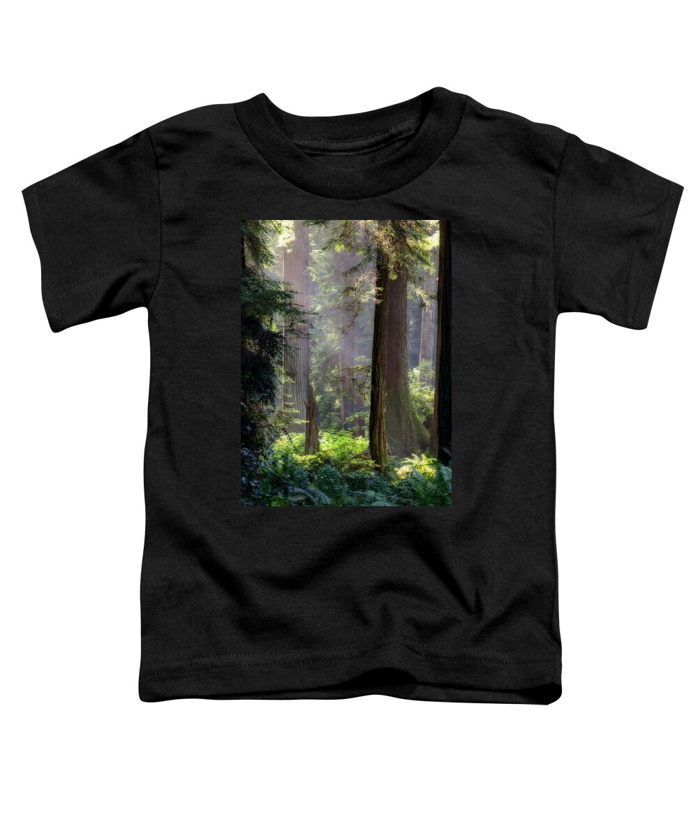Tree Toddler T-Shirt featuring the photograph Sanctuary by Mark Alder