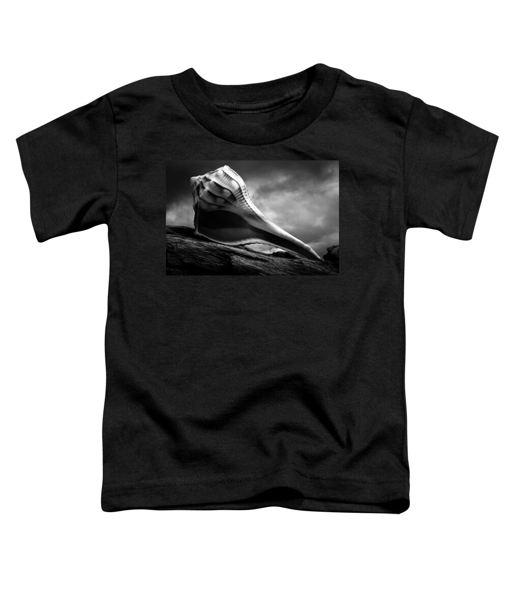 Shell Toddler T-Shirt featuring the photograph Seashell Without The Sea 3 by Bob Orsillo