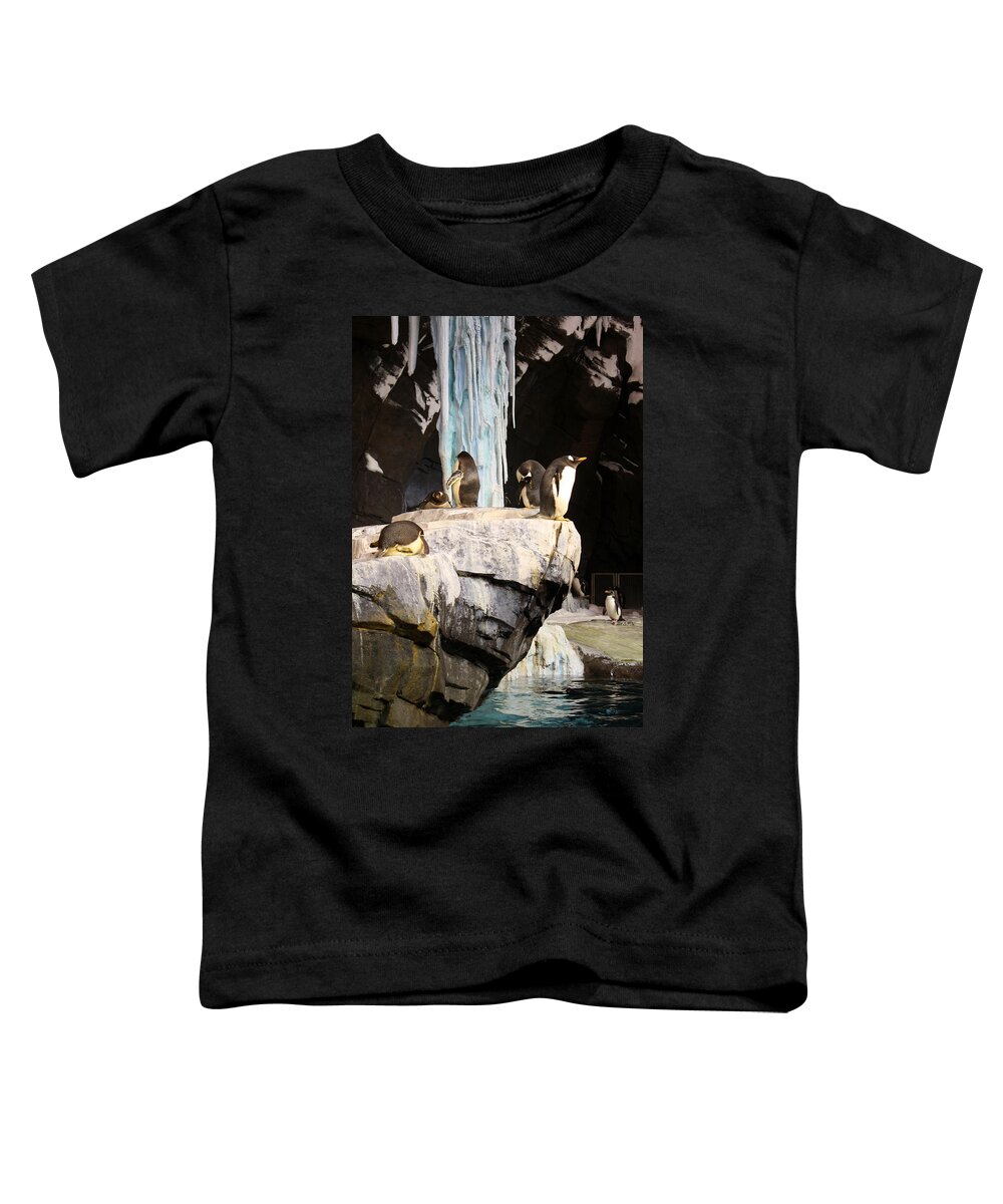 Seaworld Toddler T-Shirt featuring the photograph SeaWorld Penguins by David Nicholls