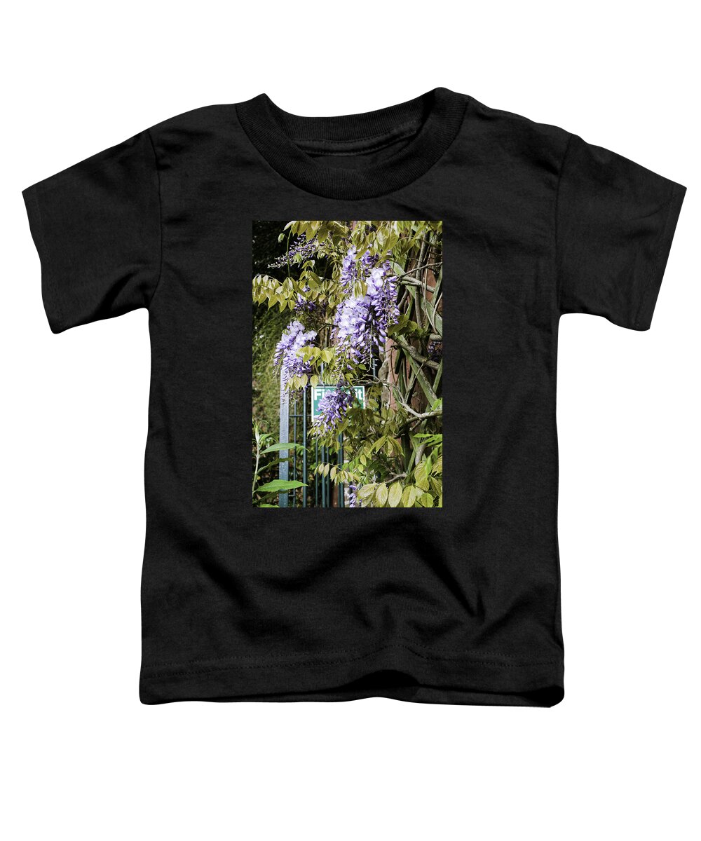 Gate Toddler T-Shirt featuring the photograph Secret Garden by Spikey Mouse Photography